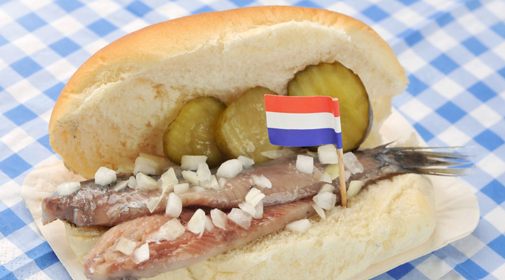 Kennis van de Nederlandse Maatschappij